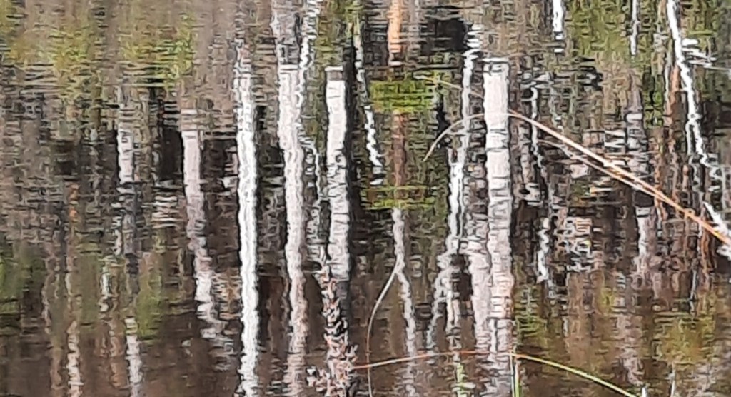 How to Feed Your Creative&nbsp;Beast