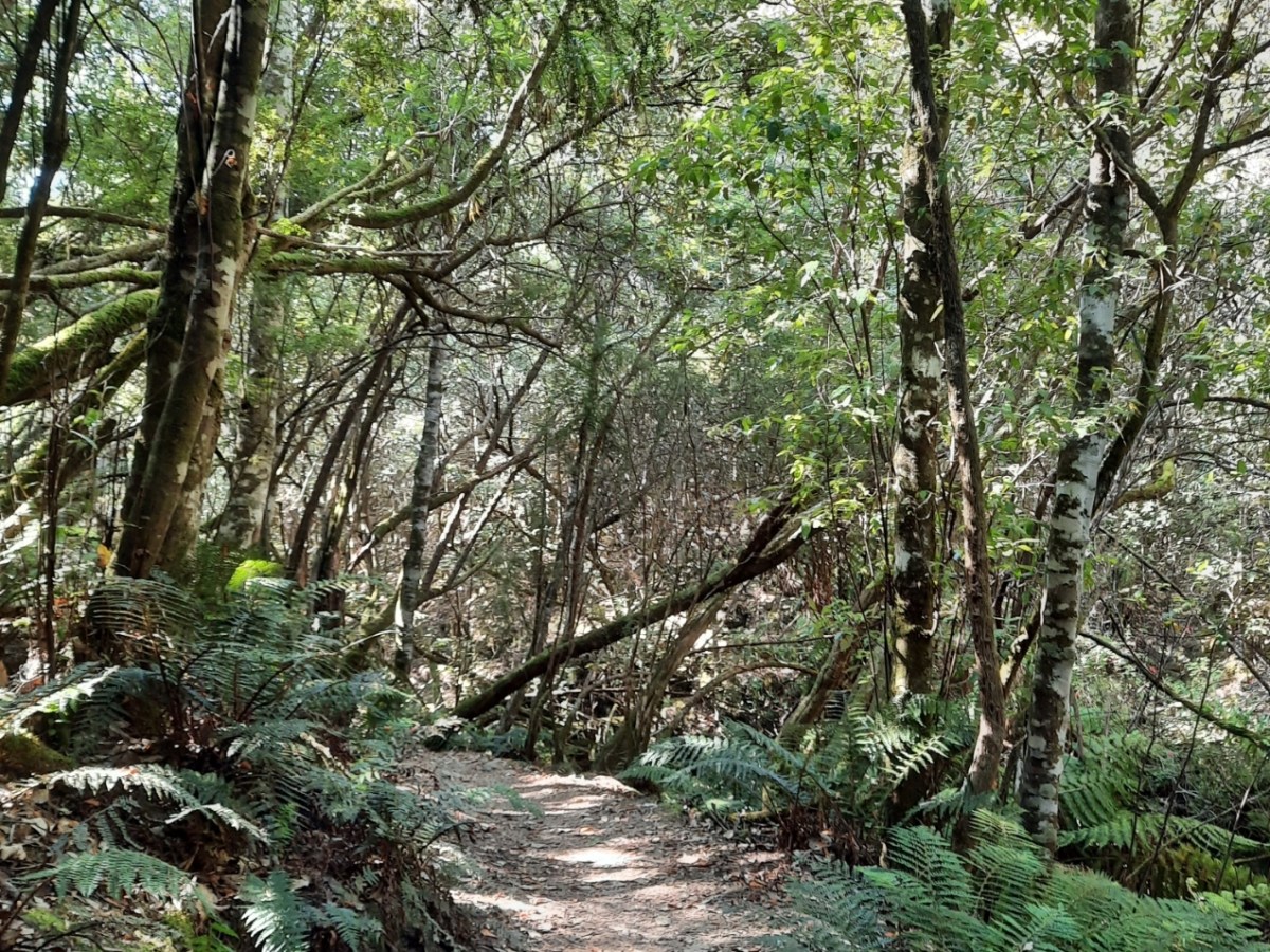 Art in the&nbsp;Wilderness