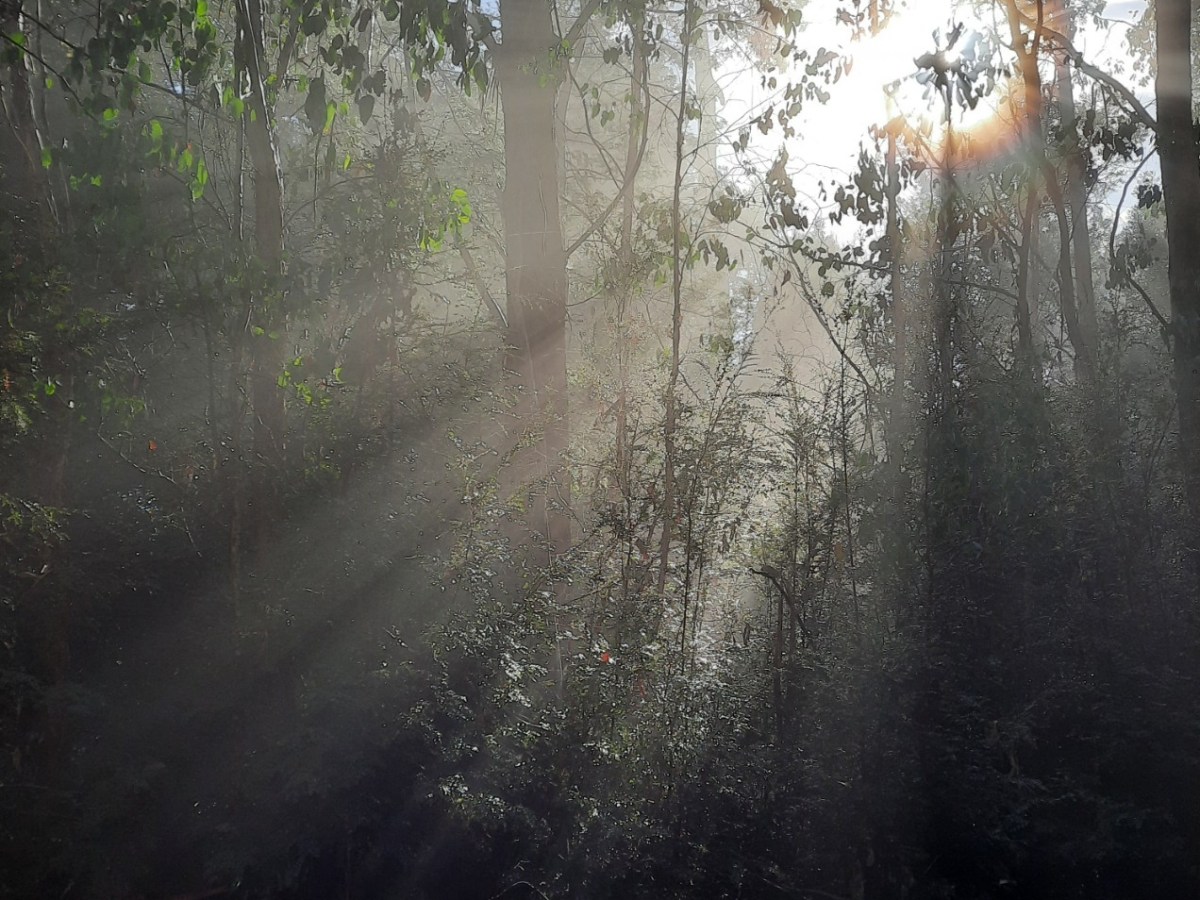 Last chance to paint in&nbsp;Takayna